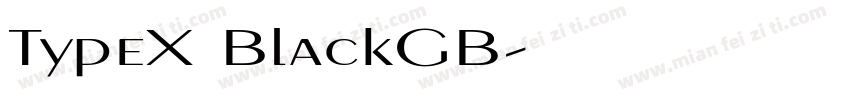 TypeX BlackGB字体转换